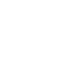 X Icon
